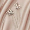 Padma Hair Pins (Set Of 2)